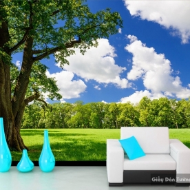 giấy dán tường 3D 13887260