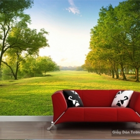 giấy dán tường 3D s217281280