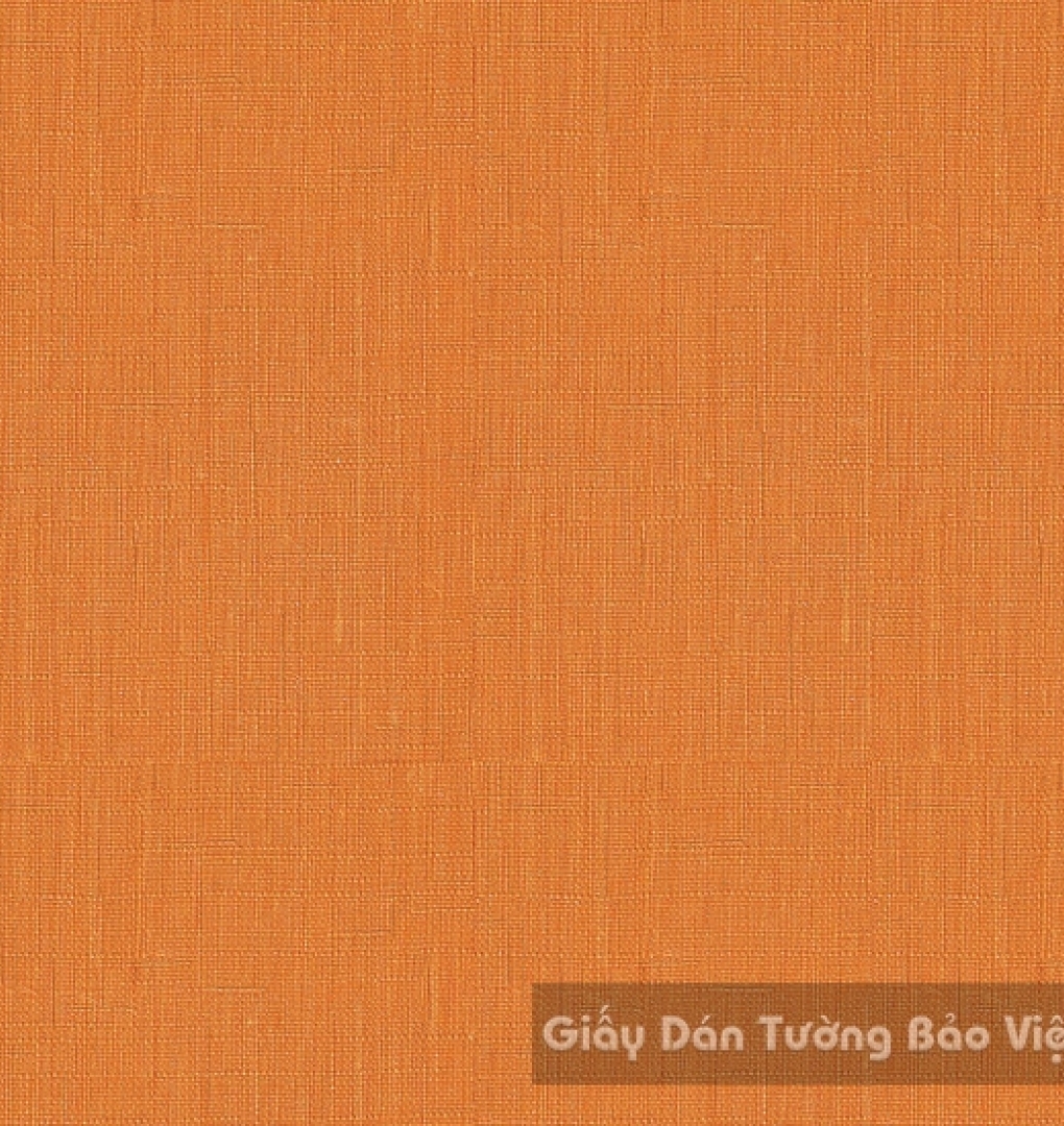 Giấy Dán Tường Cao Cấp ZN004-4