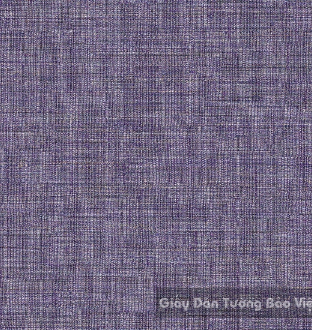 Giấy Dán Tường Cao Cấp ZN004-7