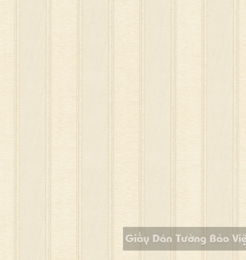 Giấy Dán Tường Cao Cấp ZN010-2