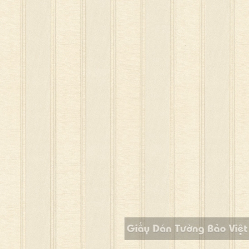 Giấy Dán Tường Cao Cấp ZN010-2