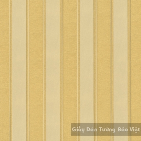 Giấy Dán Tường Cao Cấp ZN010-3