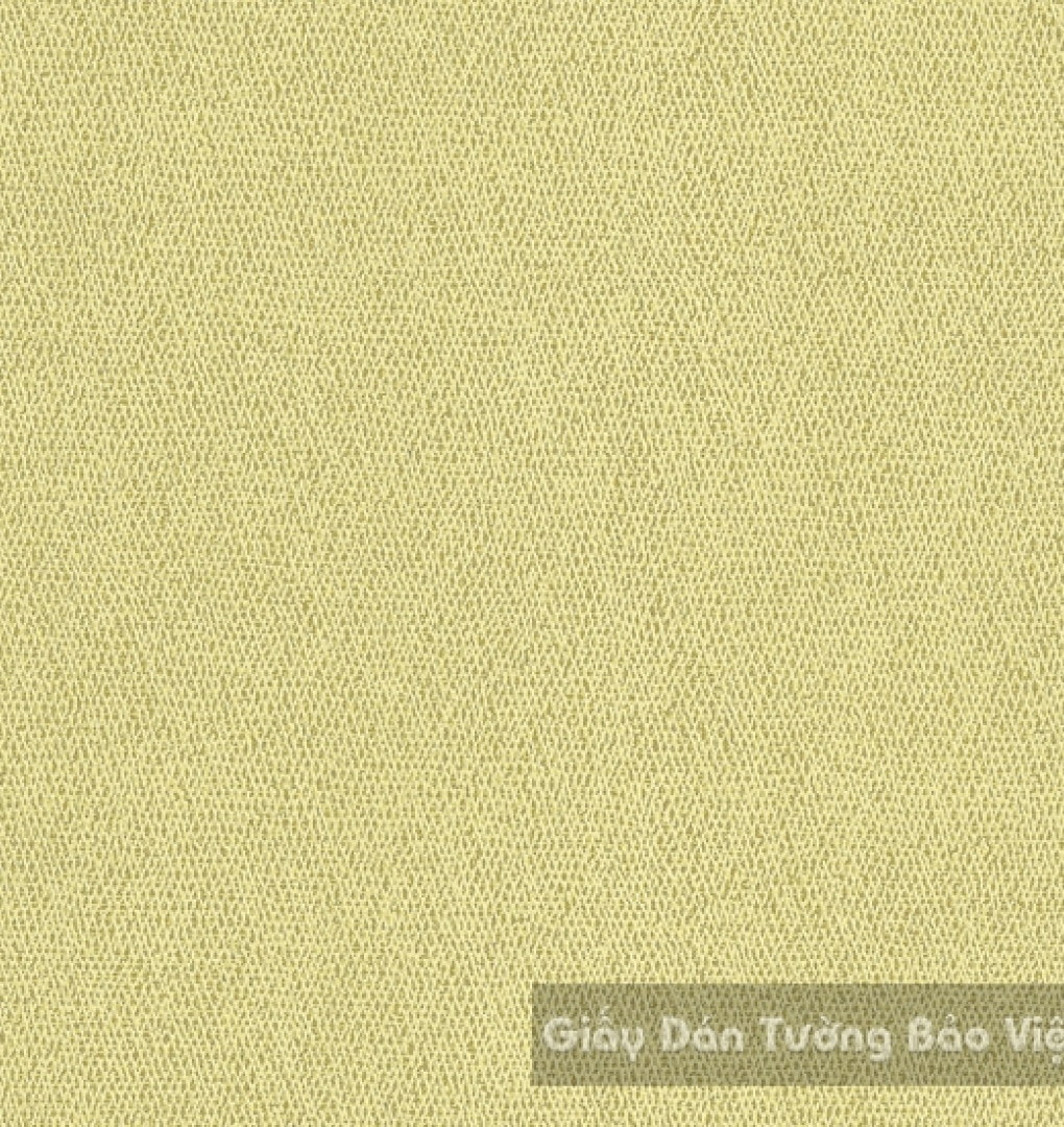 Giấy Dán Tường Cao Cấp ZN014-2