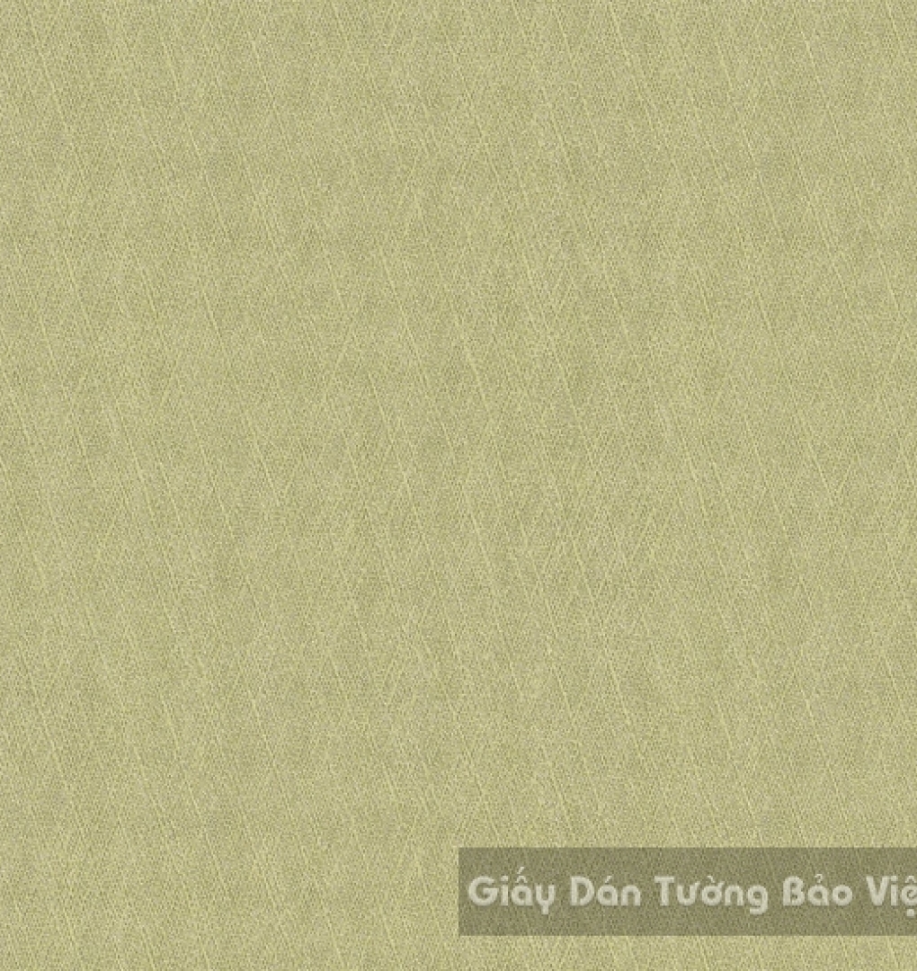 Giấy Dán Tường Cao Cấp ZN016-2