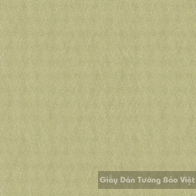 Giấy Dán Tường Cao Cấp ZN016-2