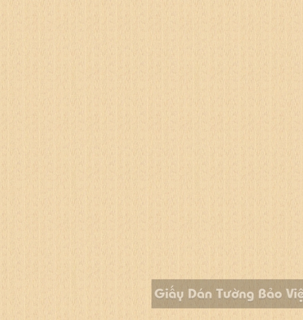 Giấy Dán Tường Cao Cấp ZN017-3