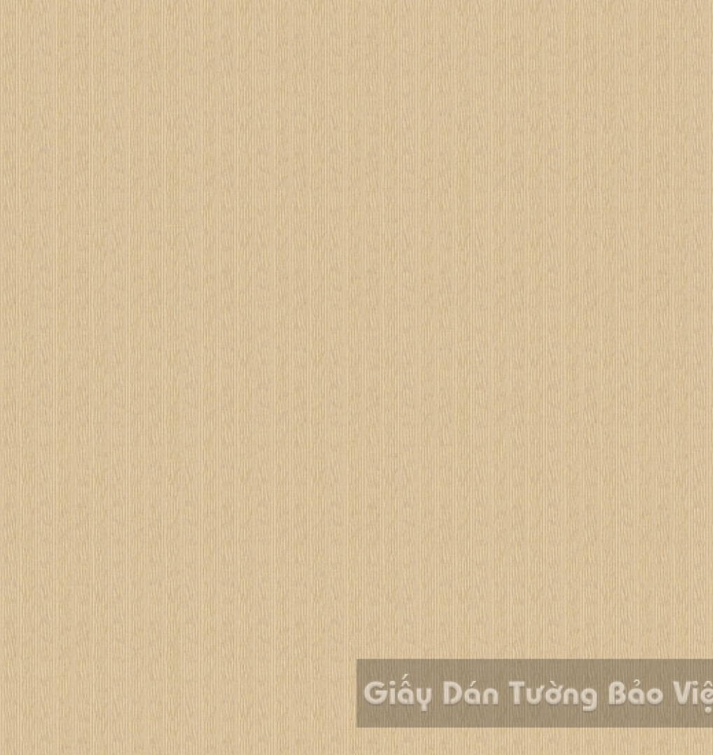 Giấy Dán Tường Cao Cấp ZN017-4