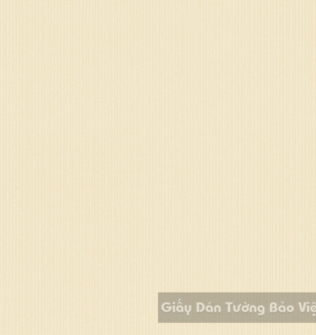 Giấy Dán Tường Cao Cấp ZN019-2