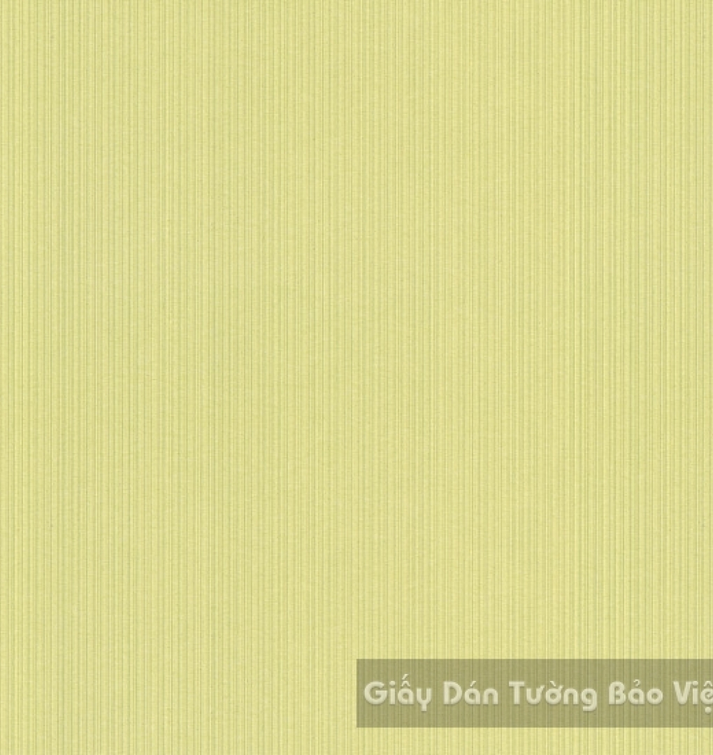 Giấy Dán Tường Cao Cấp ZN019-5