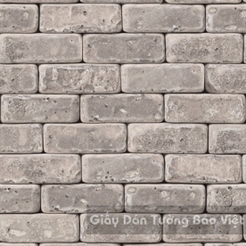 Giấy Dán Tường 53103-1