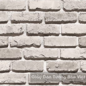 Giấy Dán Tường Giả Đá 53101-1
