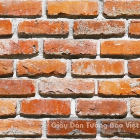 Giấy Dán Tường Giả Đá 53101-2