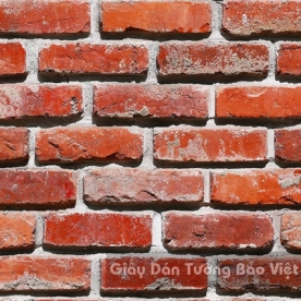 Giấy Dán Tường Giả Đá 53101-3