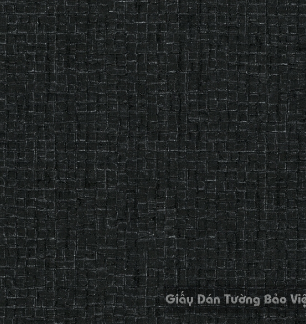 Giấy Dán Tường 40005-2