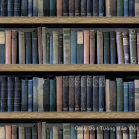 Giấy Dán Tường 40013-1