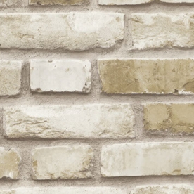 Giấy dán tường hàn quốc 10093-2 