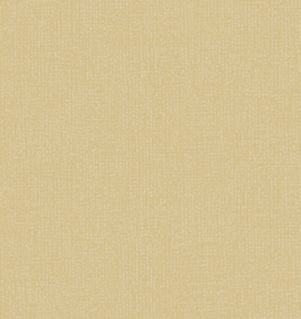 Giấy Dán Tường Hàn Quốc 2564-2