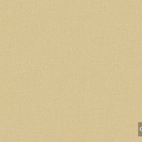 Giấy Dán Tường Hàn Quốc 2564-2