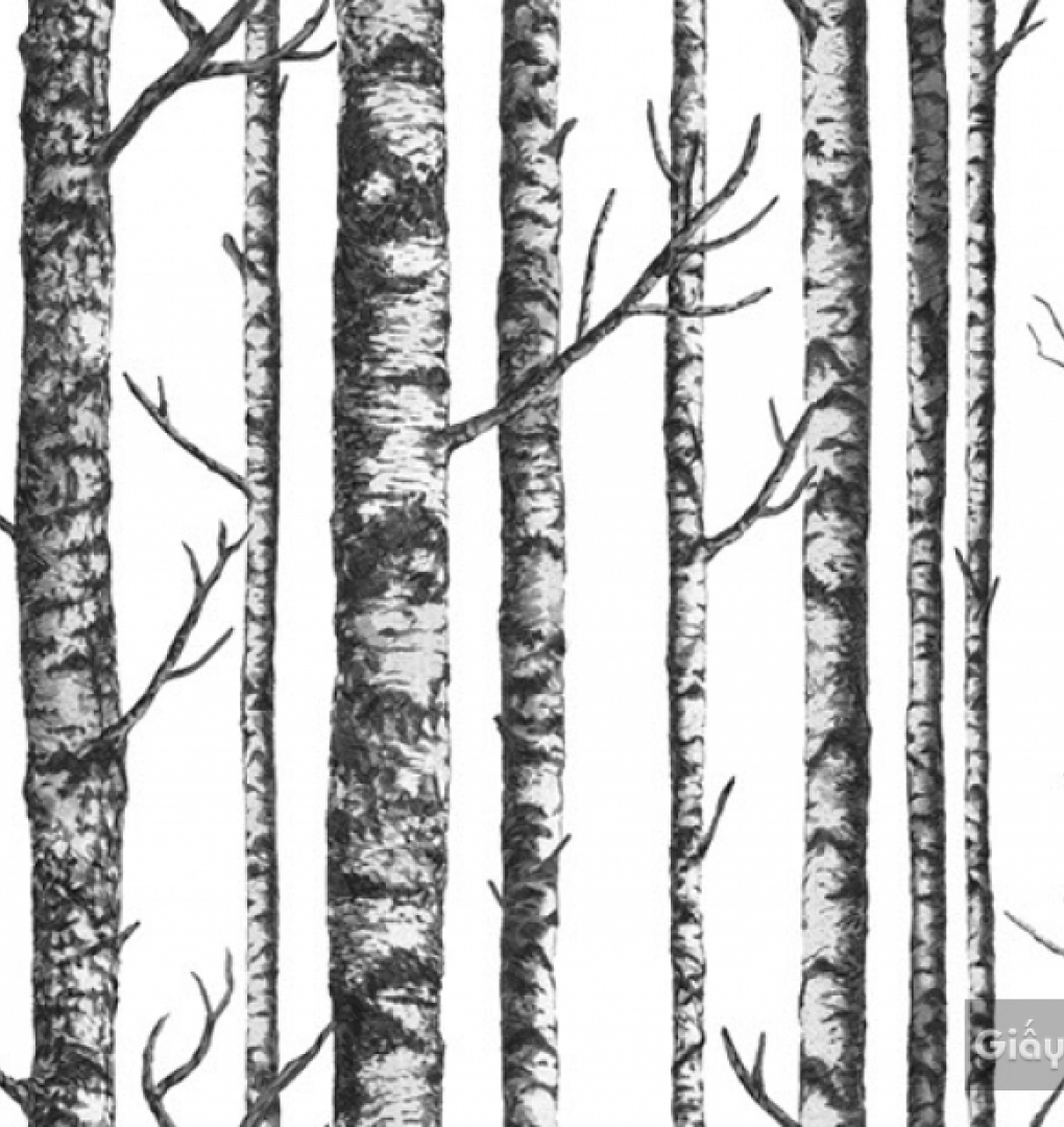 Giấy dán tường Hàn Quốc Darae 1814-1