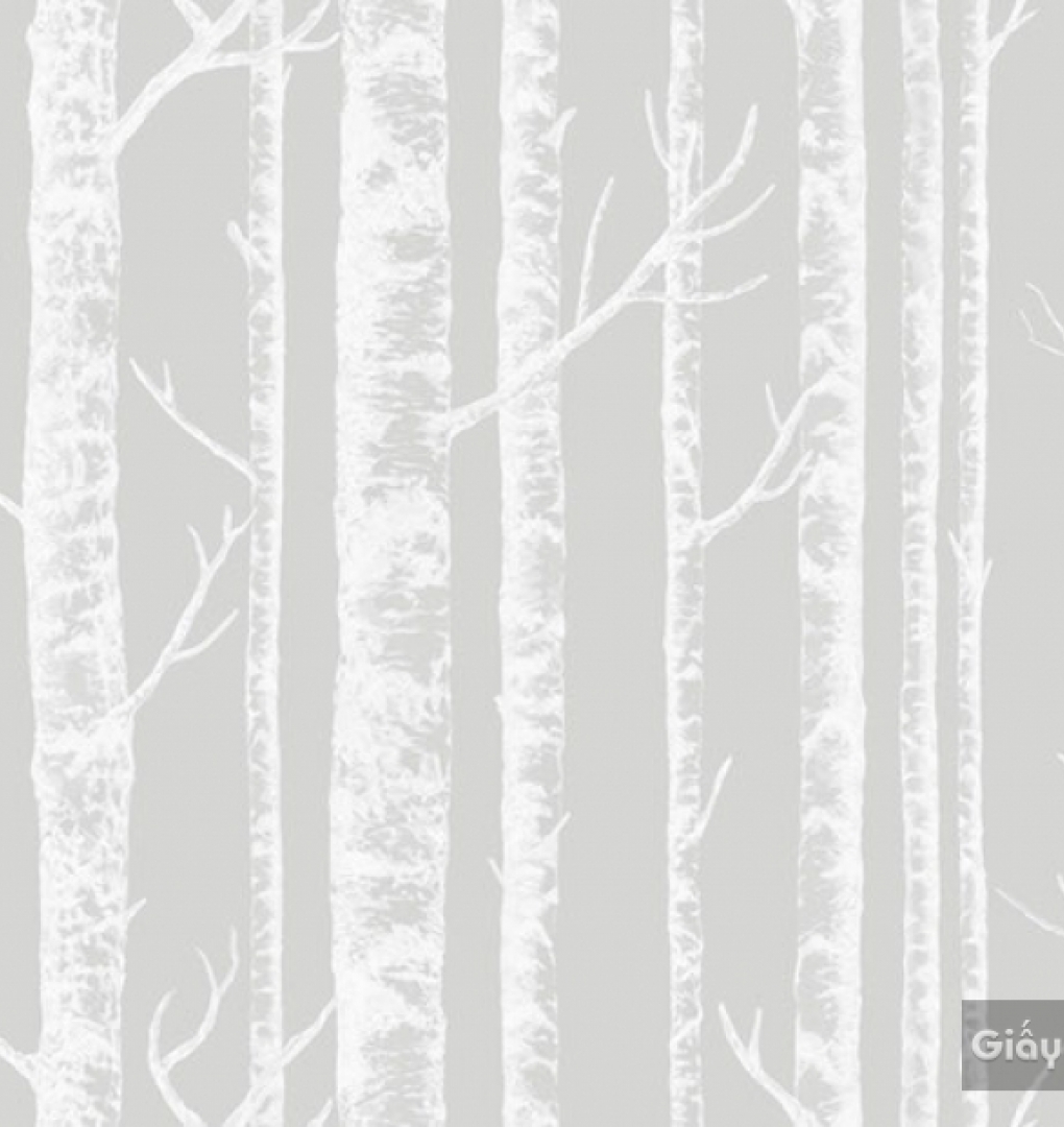 Giấy dán tường Hàn Quốc Darae 1814-3