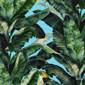 Giấy dán tường Hàn Quốc Darae 1815-4