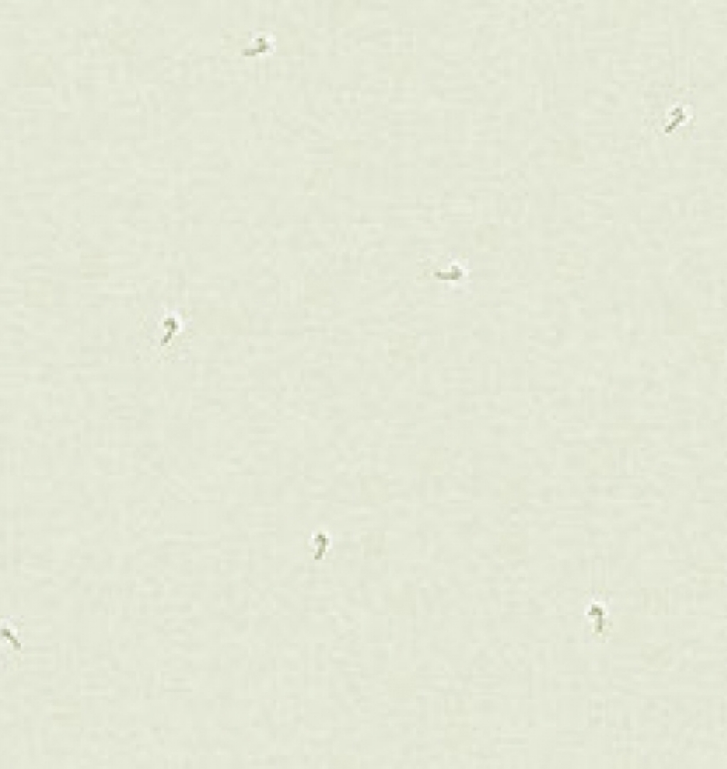 Giấy dán tường hàn quốc Feliz II 2018 19036-1