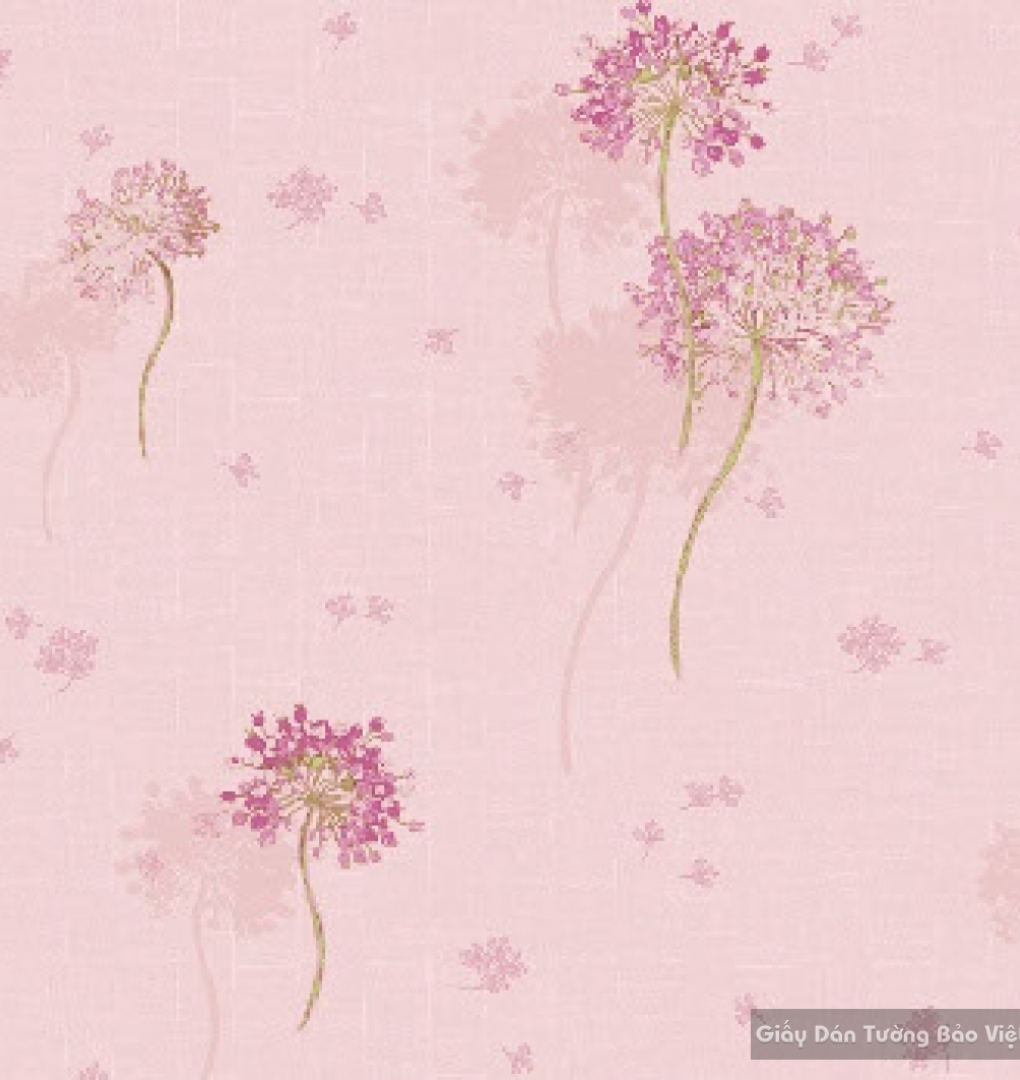 Giấy dán tường hàn quốc Feliz II 2018 8974-2