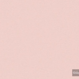 Giấy dán tường hàn quốc IKON2018 88216-3