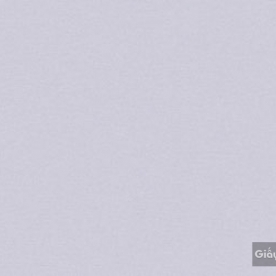 Giấy dán tường hàn quốc IKON2018 88216-7