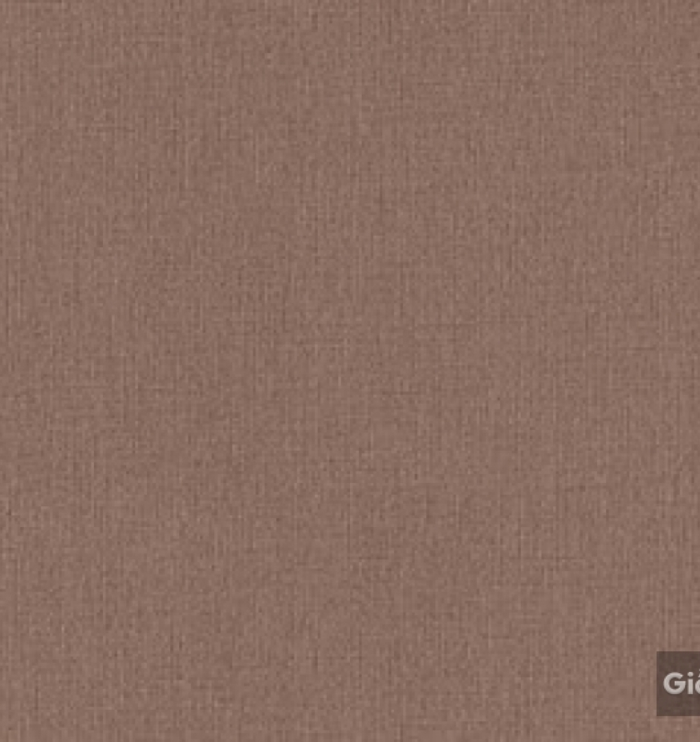 Giấy dán tường hàn quốc IKON2018 88221-5