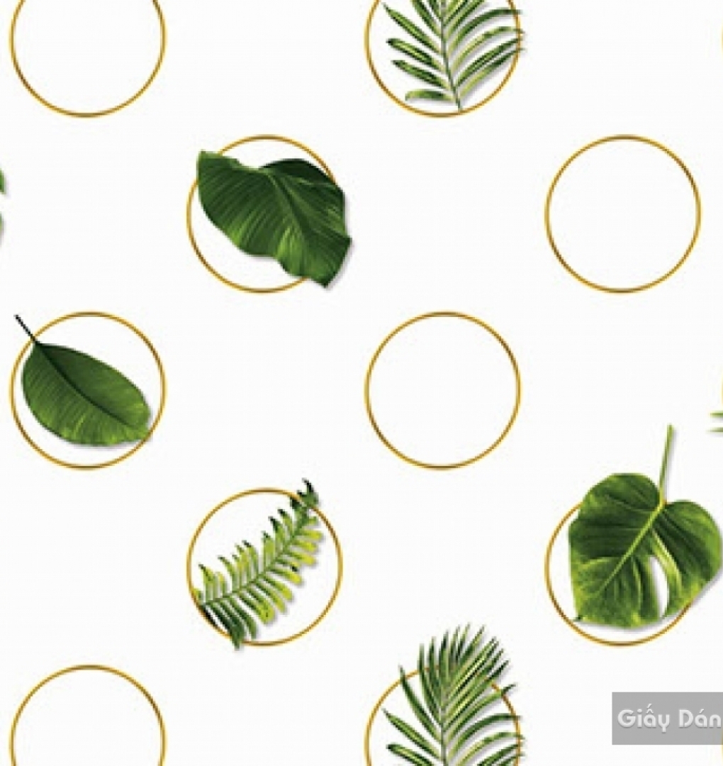 Giấy dán tường hàn quốc IKON2018 88231-1