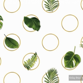 Giấy dán tường hàn quốc IKON2018 88231-1