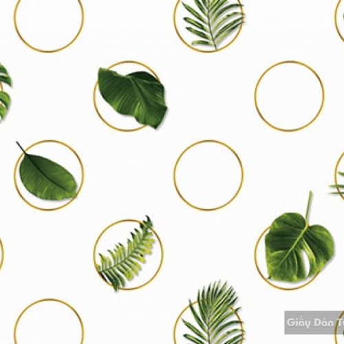 Giấy dán tường hàn quốc IKON2018 88231-1