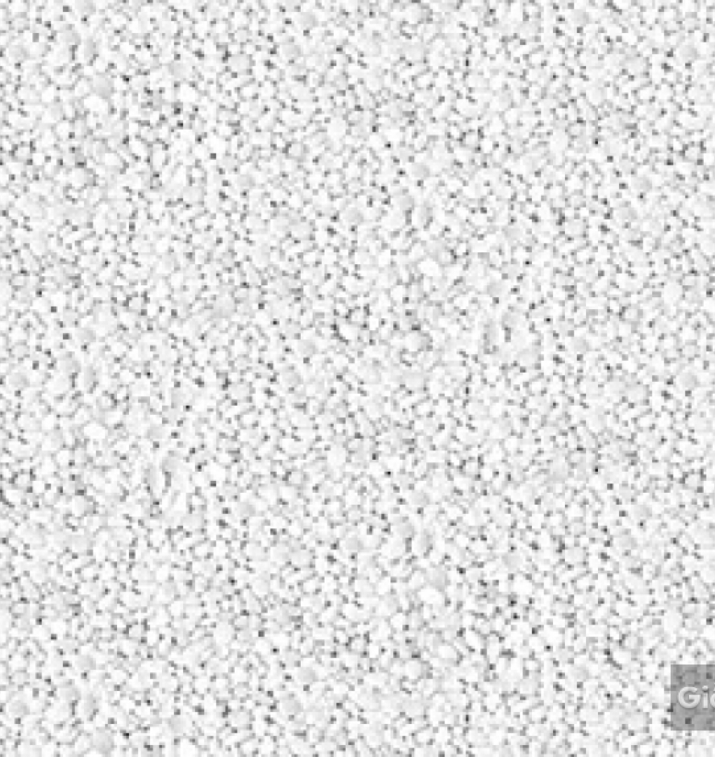 Giấy dán tường hàn quốc IKON2018 88232-1