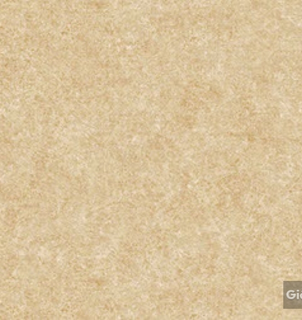 Giấy dán tường hàn quốc IKON2018 88233-2