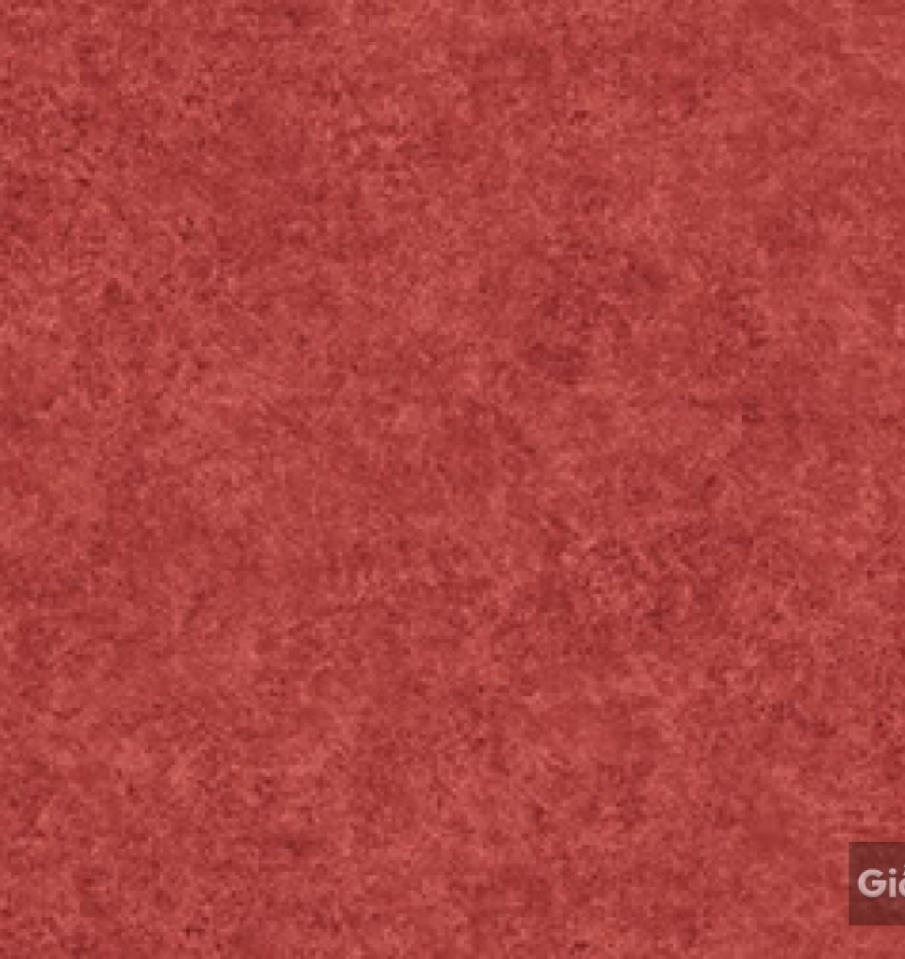 Giấy dán tường hàn quốc IKON2018 88233-6