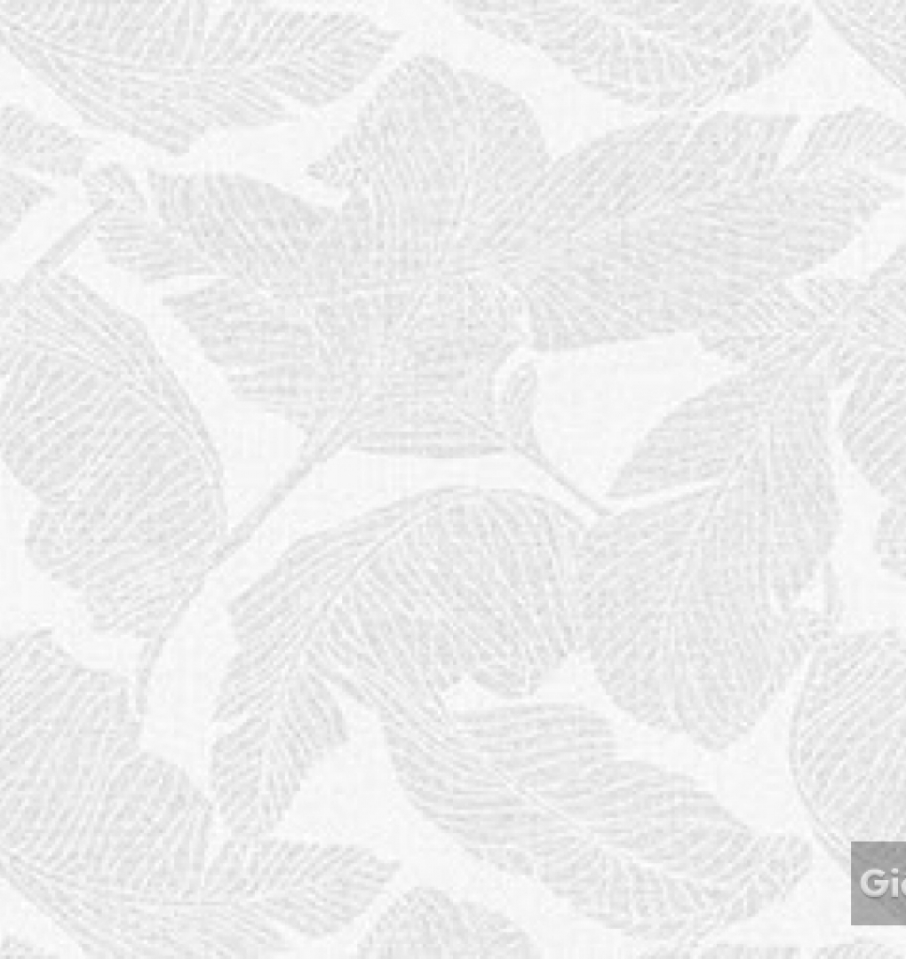 Giấy dán tường hàn quốc IKON2018 88248-1