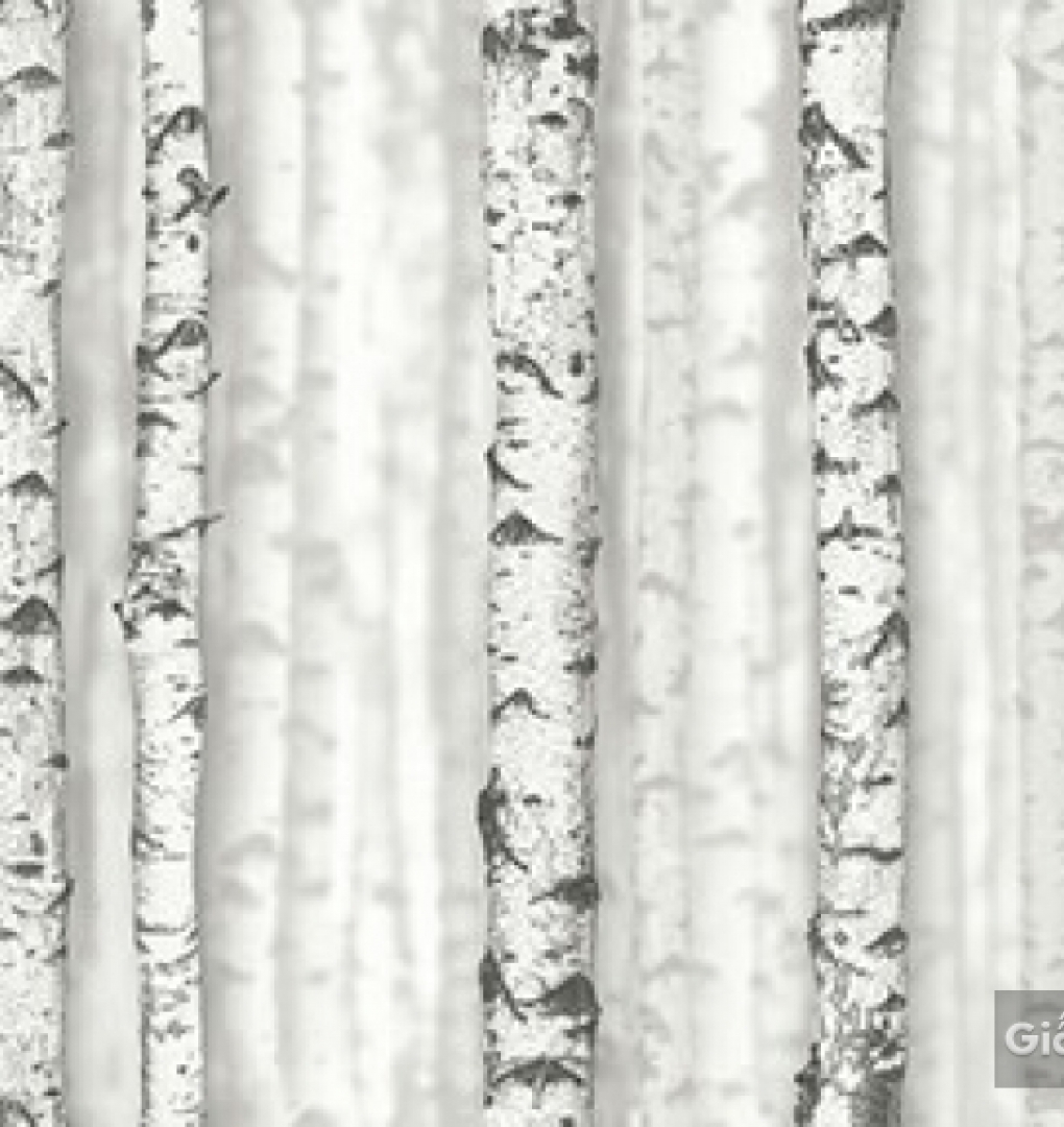 Giấy dán tường hàn quốc Place III 2018 2632-1