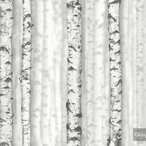 Giấy dán tường hàn quốc Place III 2018 2632-1