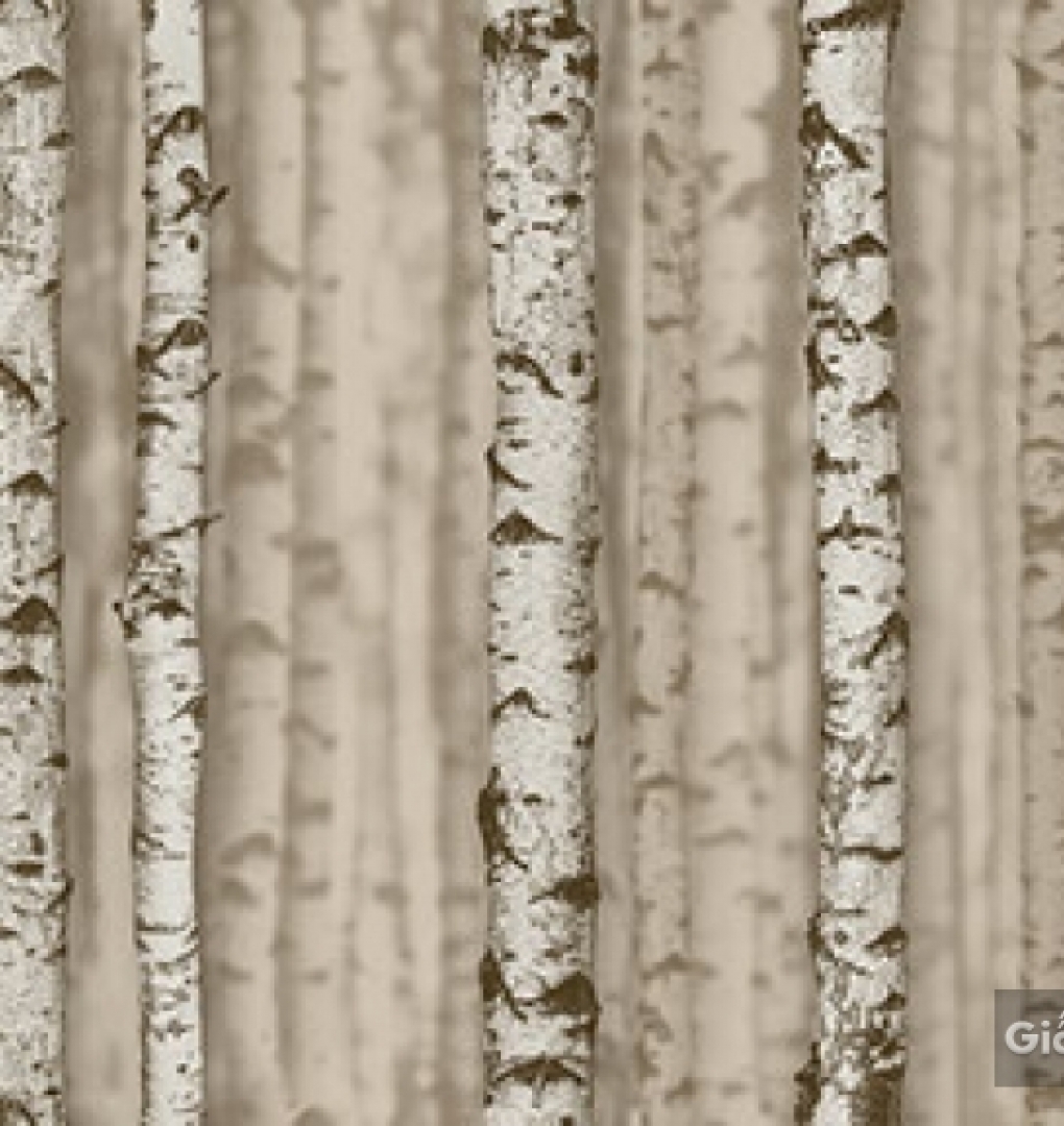 Giấy dán tường hàn quốc Place III 2018 2632-2