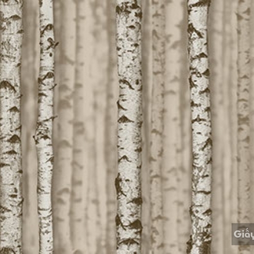 Giấy dán tường hàn quốc Place III 2018 2632-2