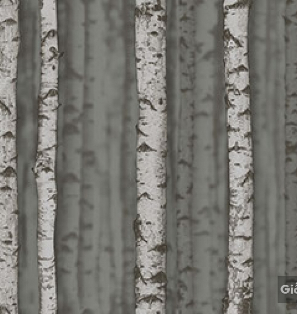 Giấy dán tường hàn quốc Place III 2018 2632-3