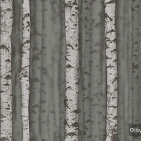 Giấy dán tường hàn quốc Place III 2018 2632-3