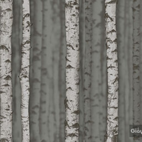 Giấy dán tường hàn quốc Place III 2018 2632-3