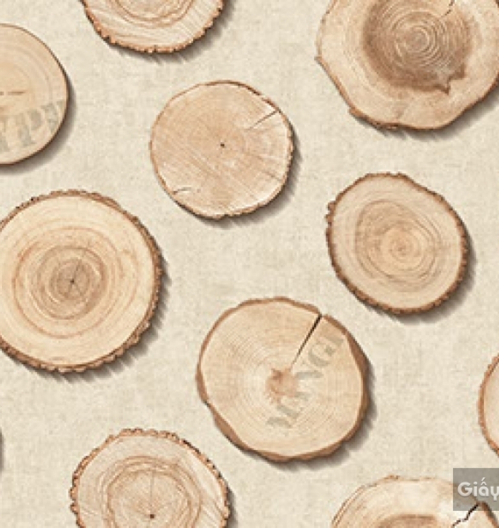 Giấy dán tường hàn quốc Place III 2018 2642-1