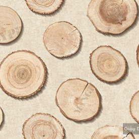 Giấy dán tường hàn quốc Place III 2018 2642-1