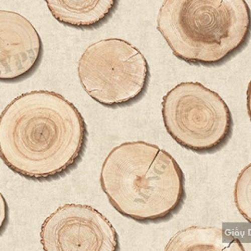 Giấy dán tường hàn quốc Place III 2018 2642-1