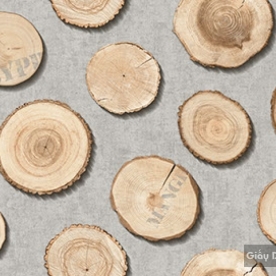 Giấy dán tường hàn quốc Place III 2018 2642-2