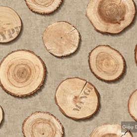 Giấy dán tường hàn quốc Place III 2018 2642-3